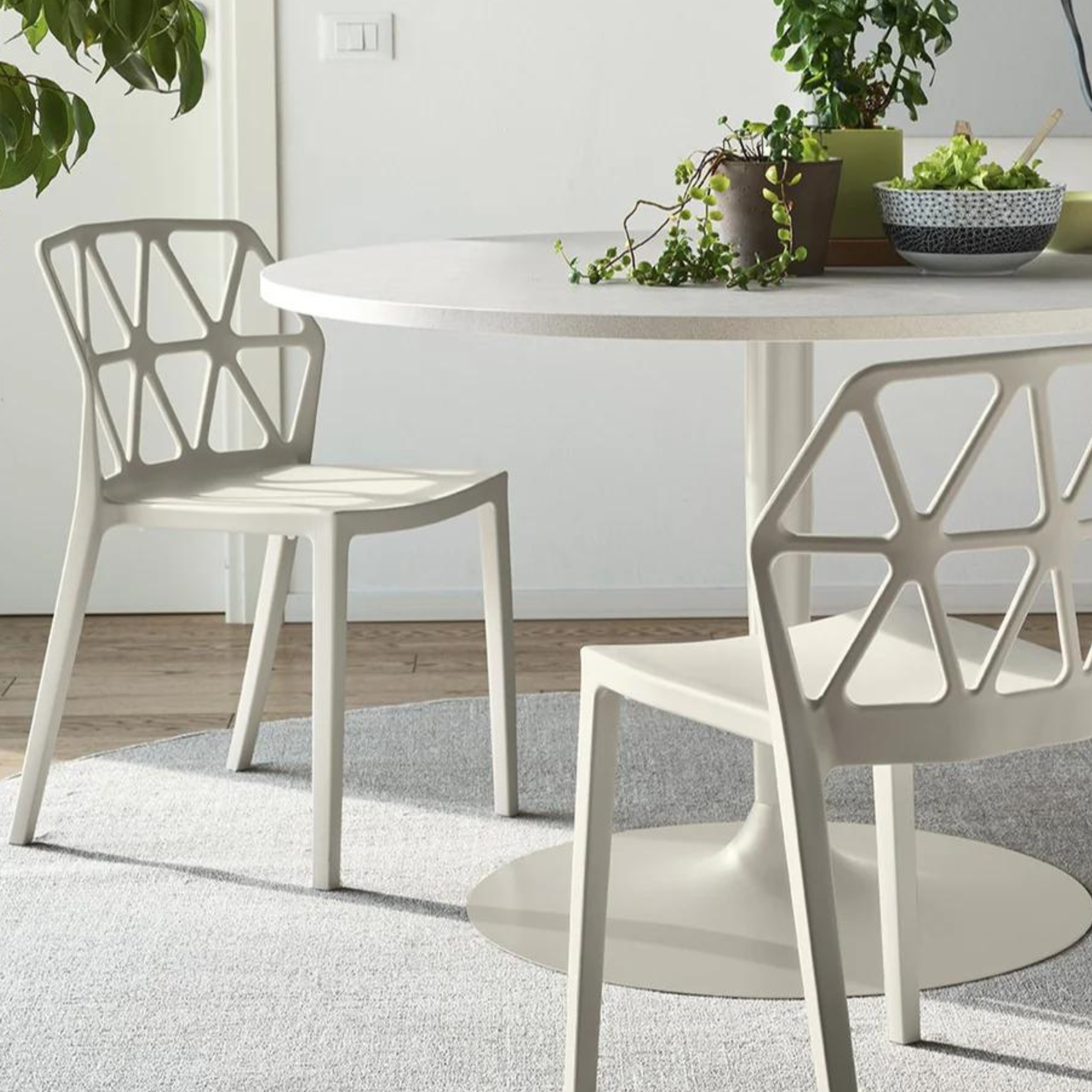 Set of modern living room chairs "Alchemia" in polypropylene cm 49.5x51 79h