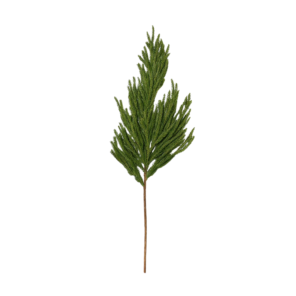 Norfolk Pine Green Branch in Real Touch PE, 90cm