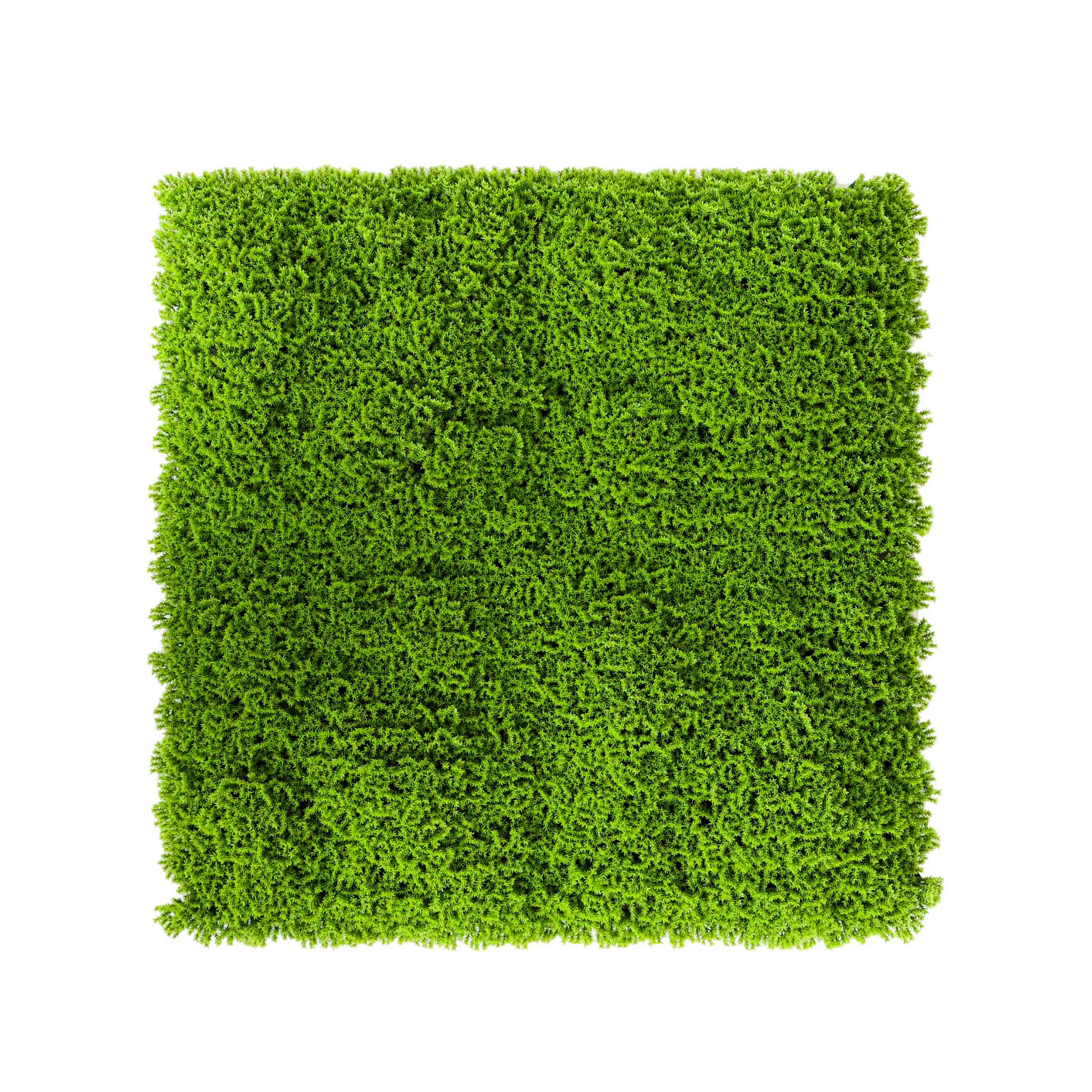 Set of 2 "Green" artificial hedges for walls in polypropylene, 100x100 cm