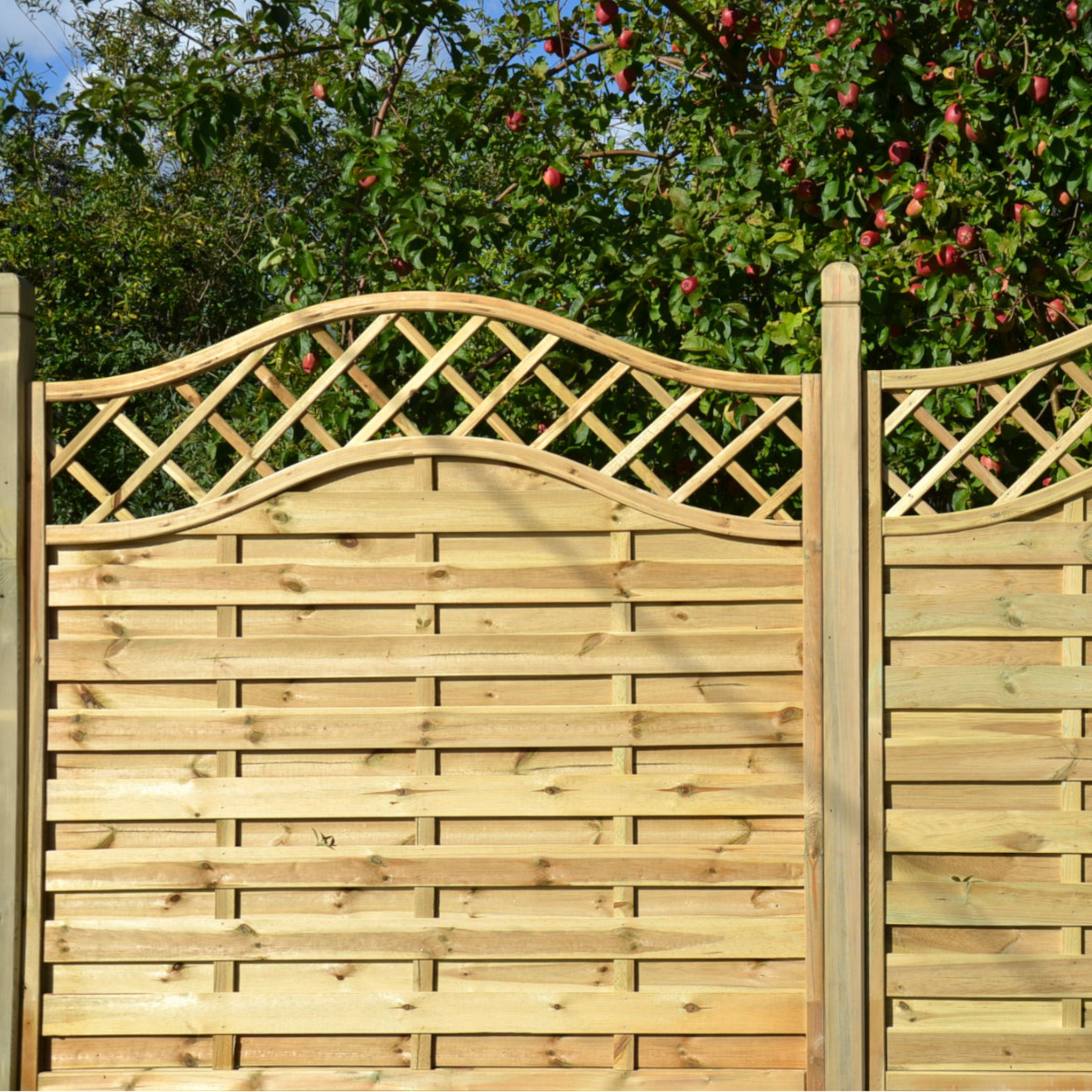 "Shaped" windbreak fence panel made of impregnated wood, 180x180 cm.