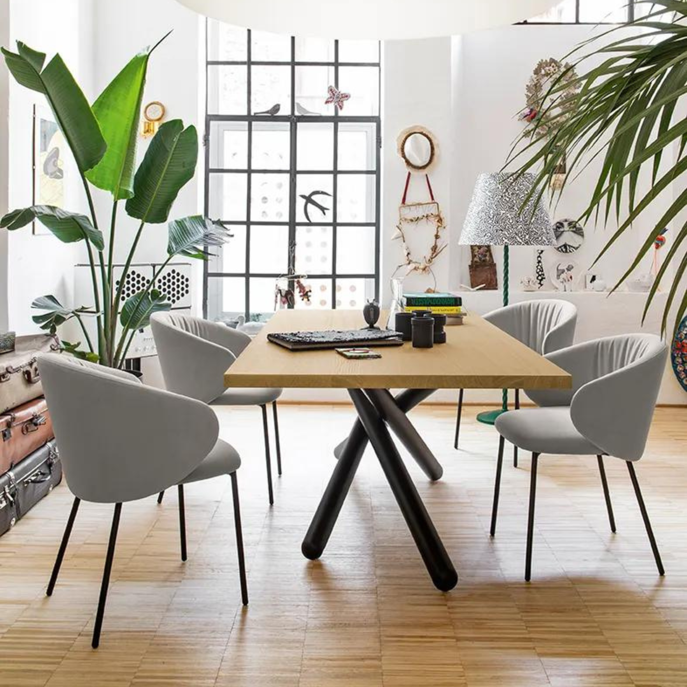 Set of "Tuka Soft" living room chairs with padded seat and backrest, 56x57 cm, 77h