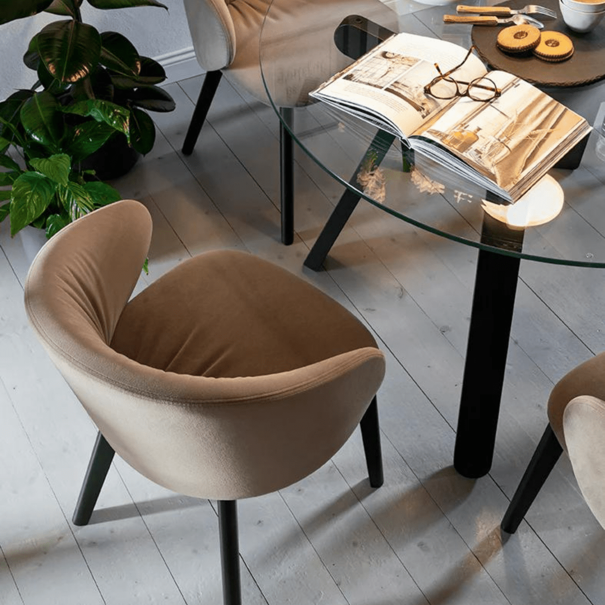 Set di sedie moderne da soggiorno "Tuka Soft" con gambe in legno - MondoViro