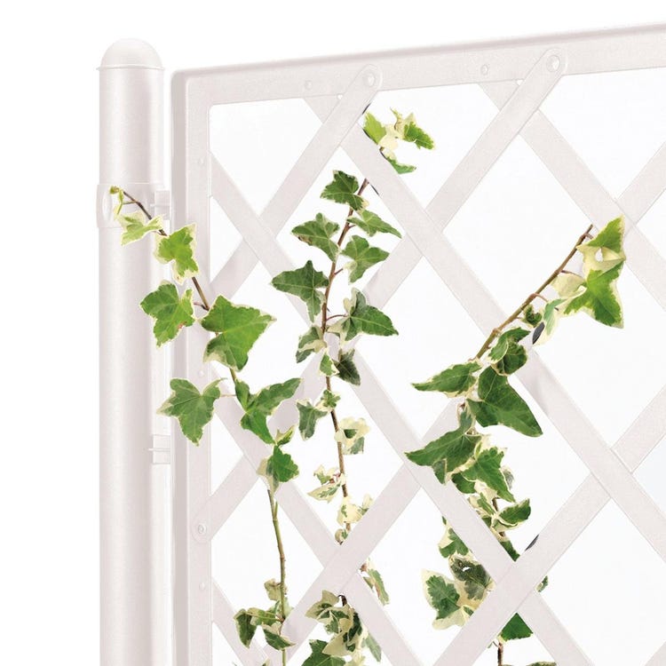 Fioriera bianca Natural Deluxe con pannello grigliato in rattan 100x43 h142