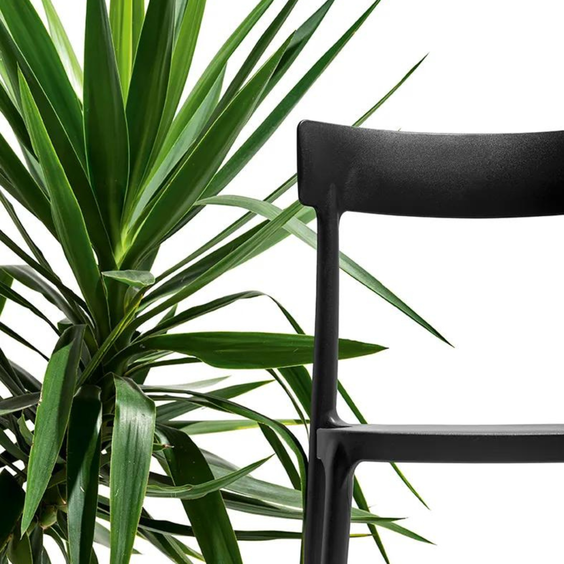 Set of modern stackable polypropylene chairs "Argo" for living room cm 48x47 82h