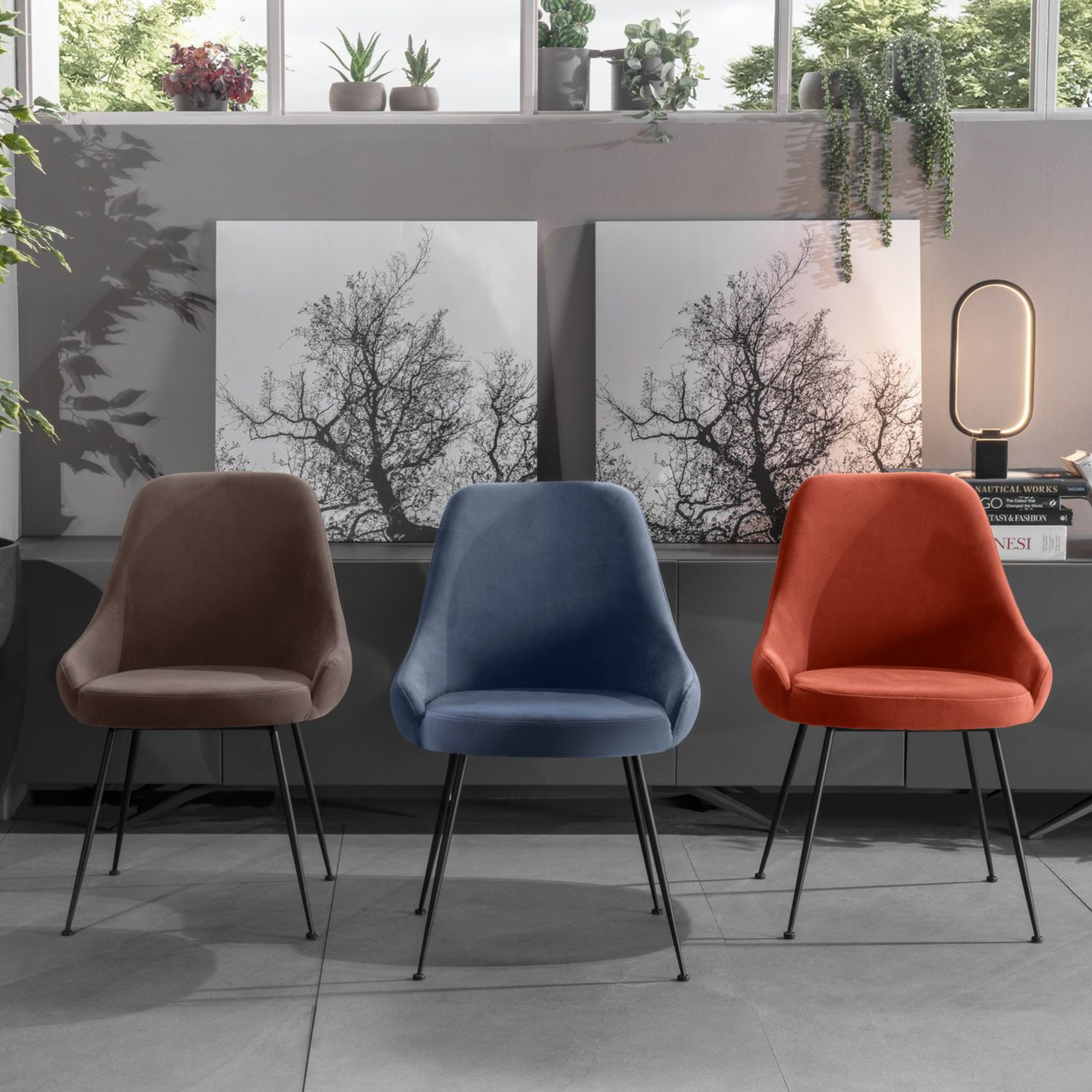 Modern padded chair "Alyssa" velvet effect cm 49.5x48.5 80h