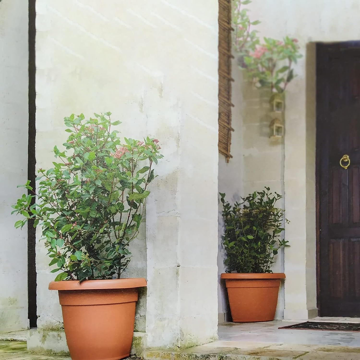 Ulisse terracotta plastic vase and saucer for outdoors