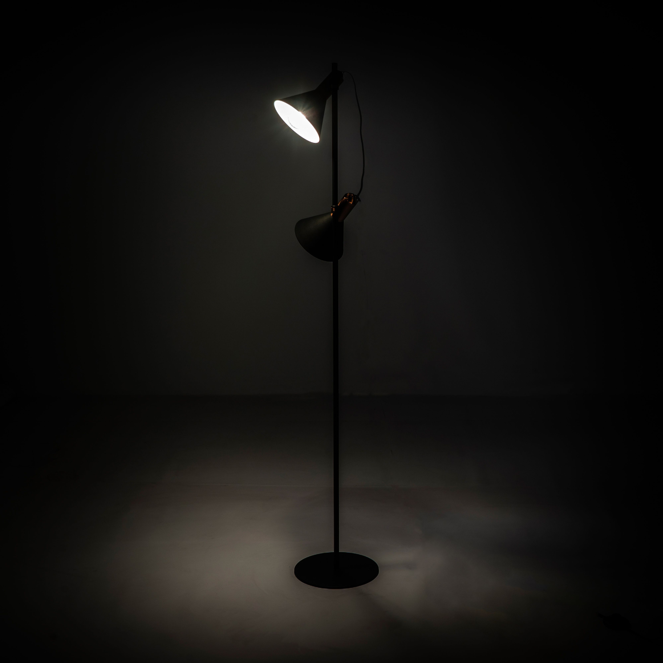 "Lucia" metal floor and table lamp with brass shade
