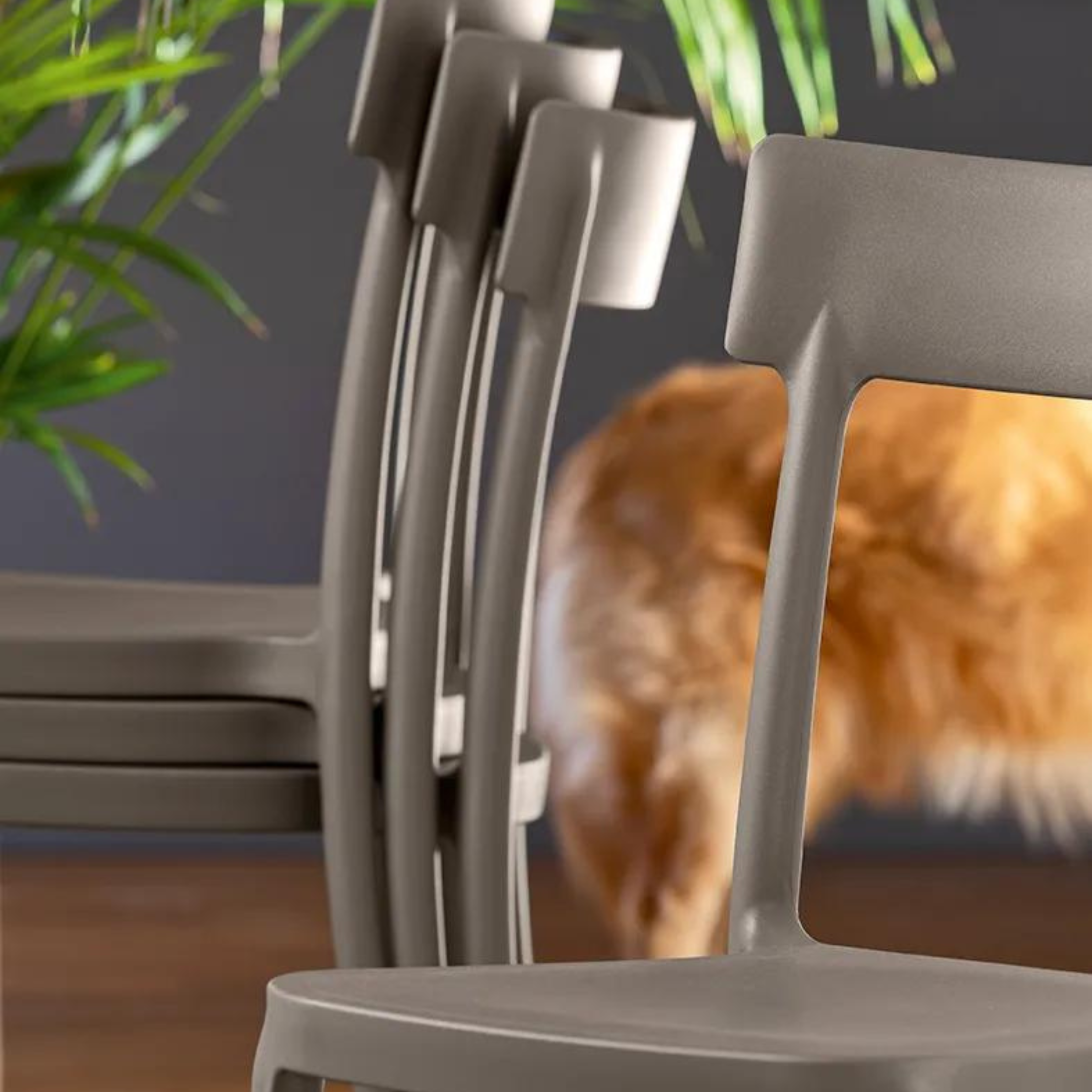 Set of modern stackable polypropylene chairs "Argo" for living room cm 48x47 82h