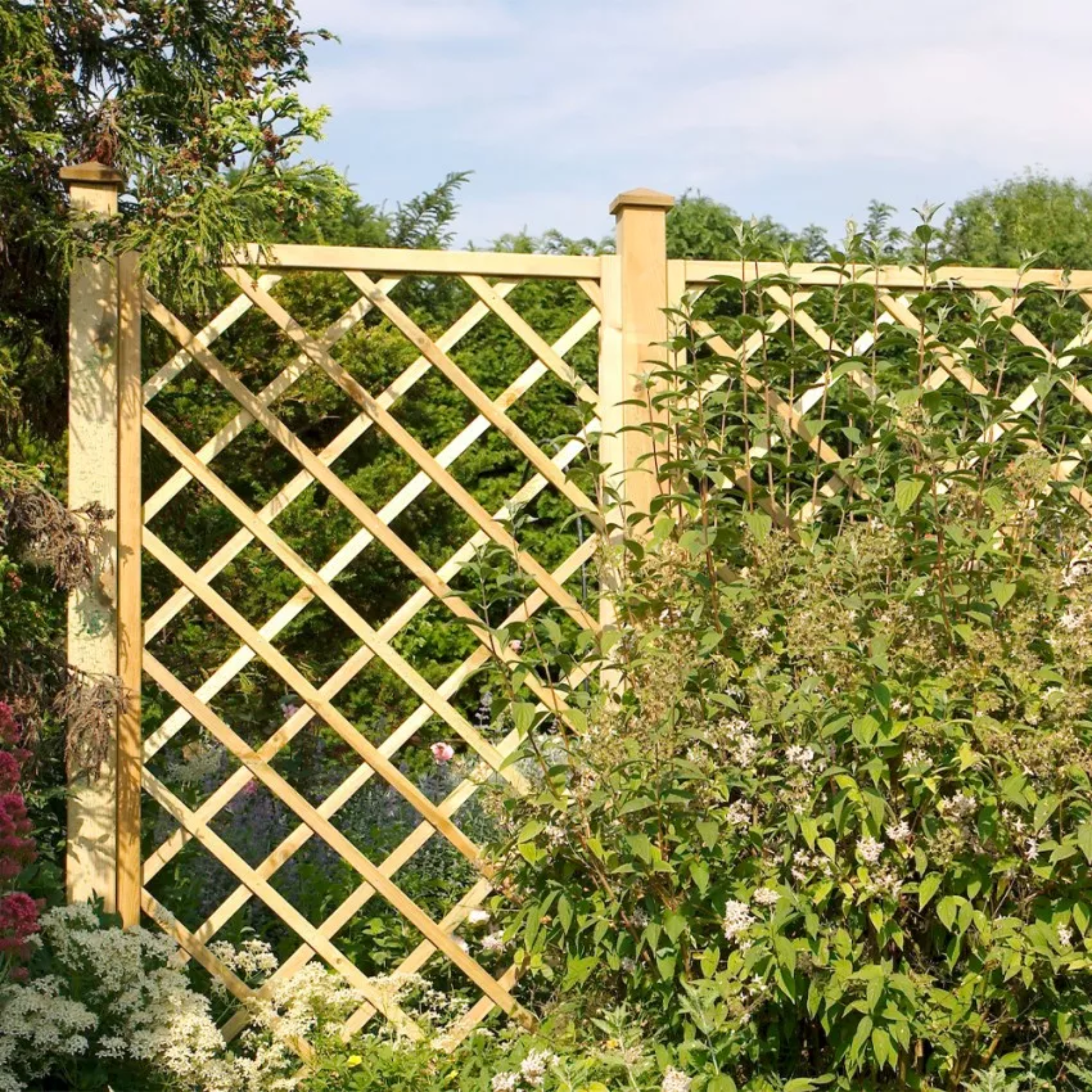 "Alghero" wooden privacy screen for climbing plants