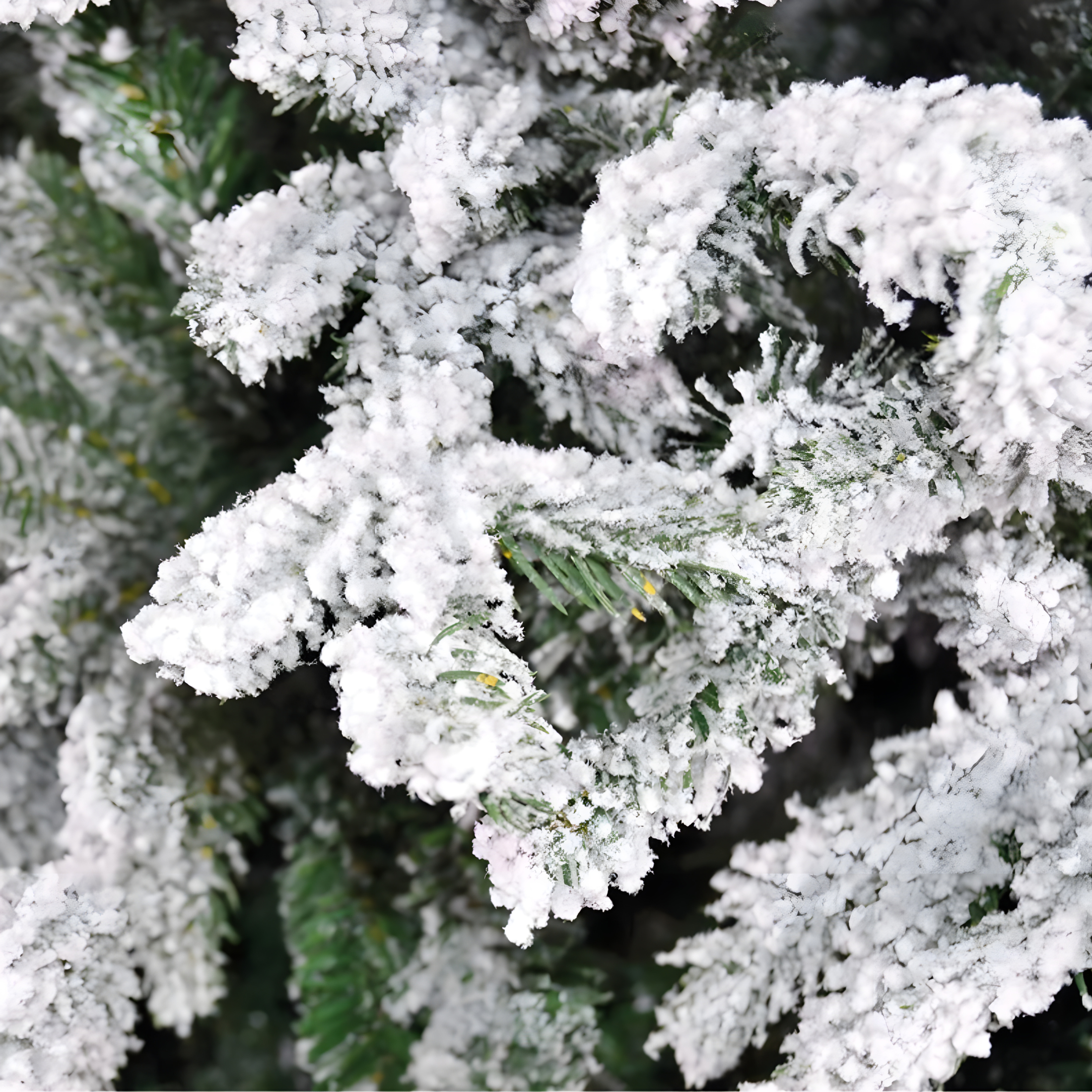 Slim modern snow-covered "Comet" Christmas tree in PE with Real Touch + Flock effect