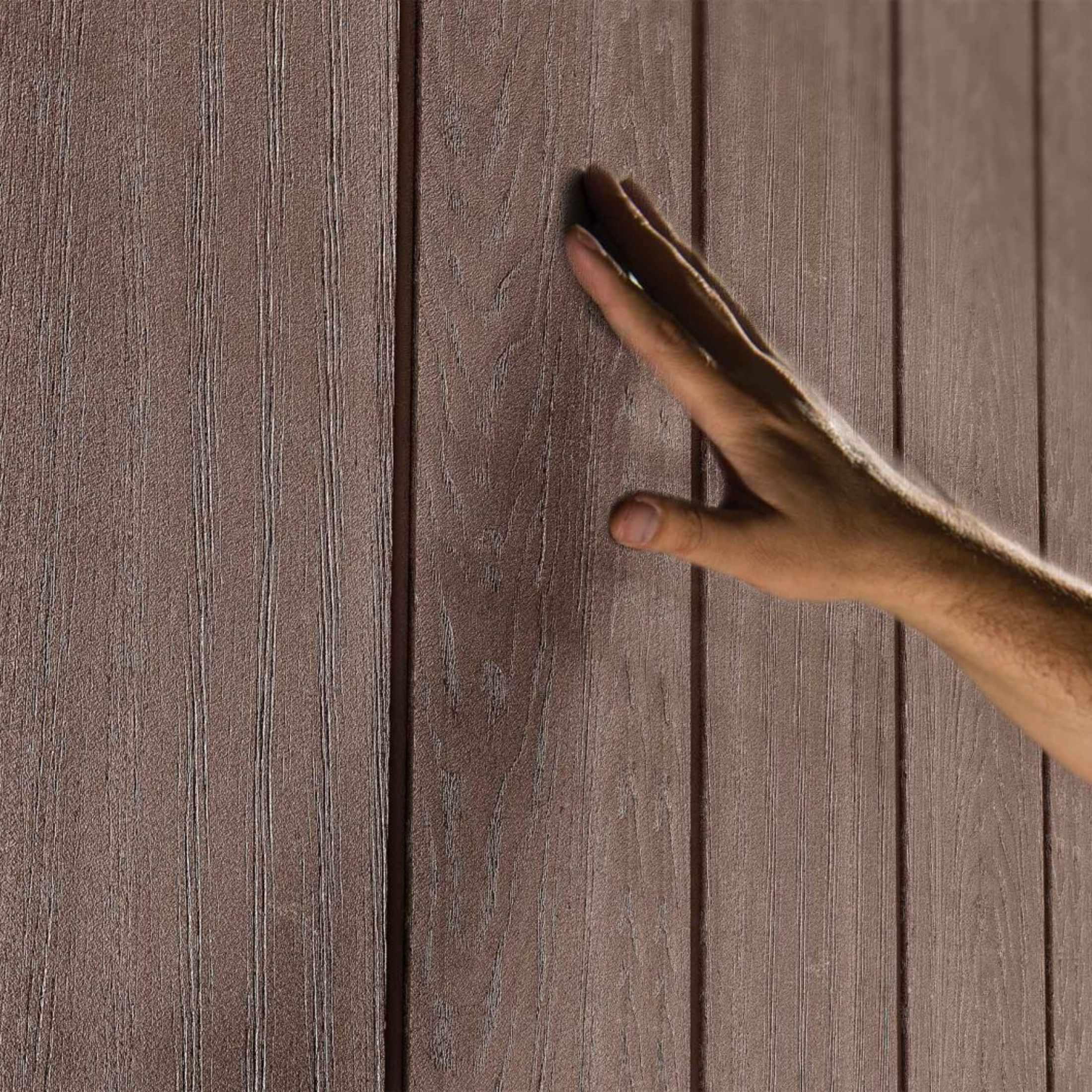 Evotech "Nido Plus 7515/1575" garden shed in brown with two mounting options