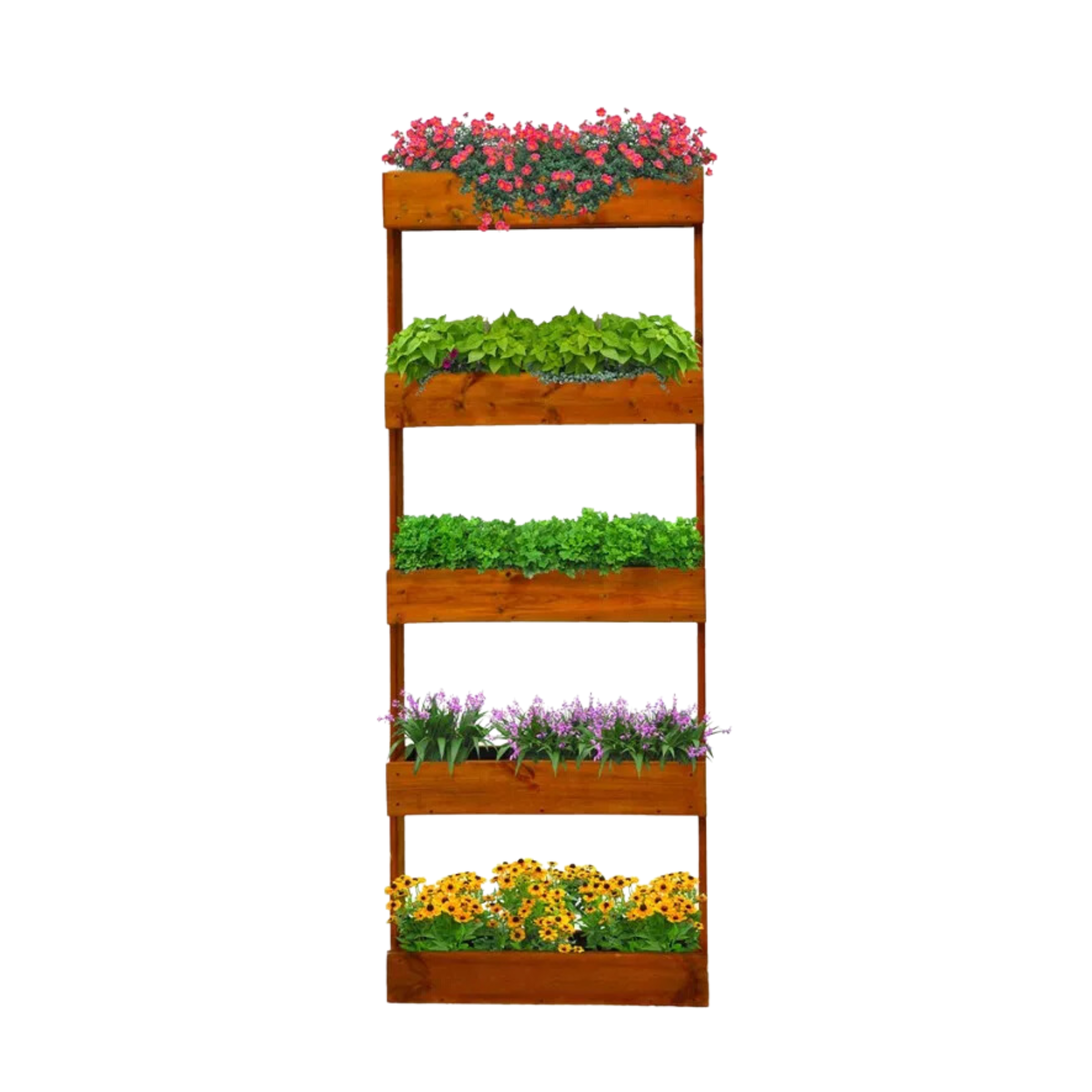 "Prato" sloping pine wood planter for garden or balcony, chestnut color