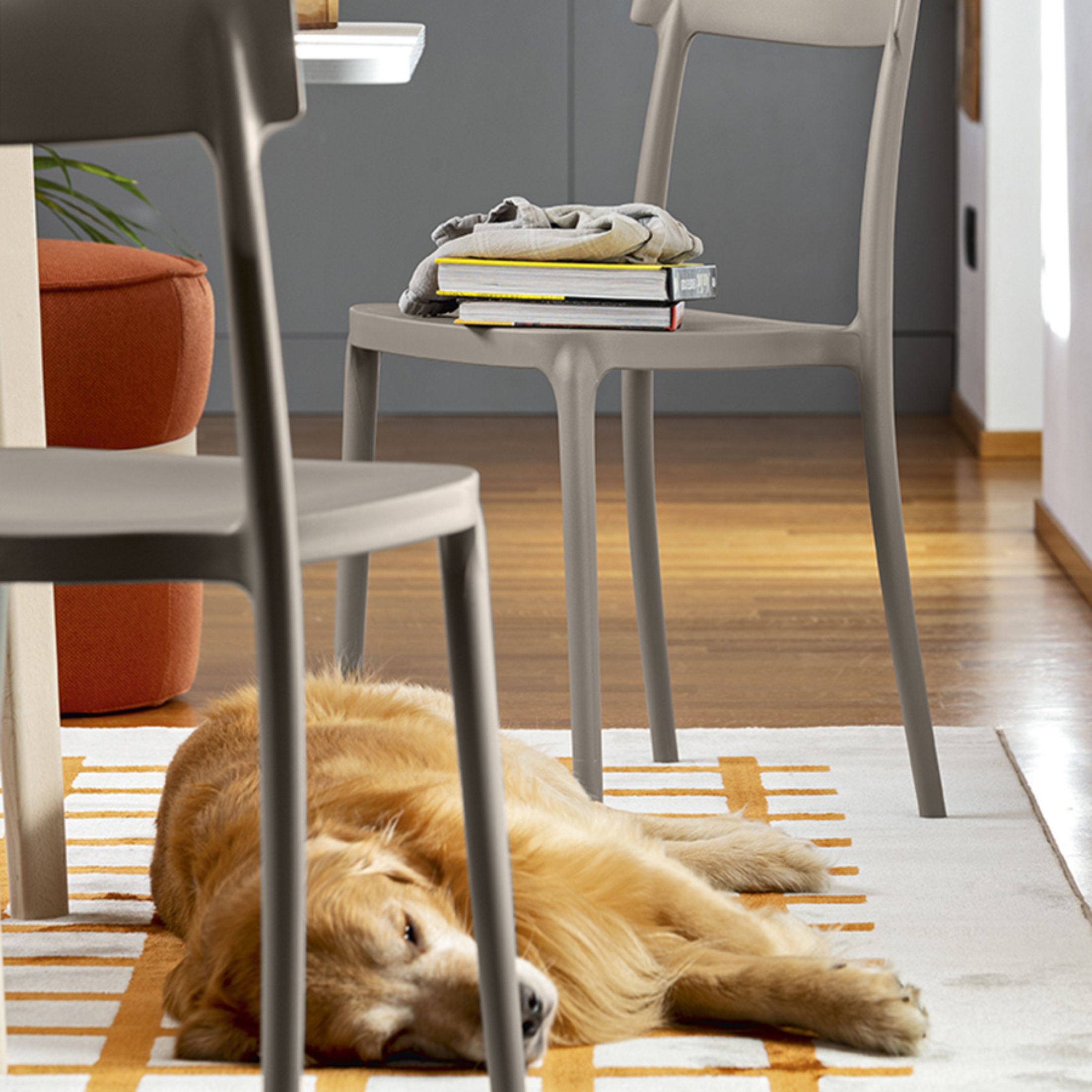 Set of modern stackable polypropylene chairs "Argo" for living room cm 48x47 82h