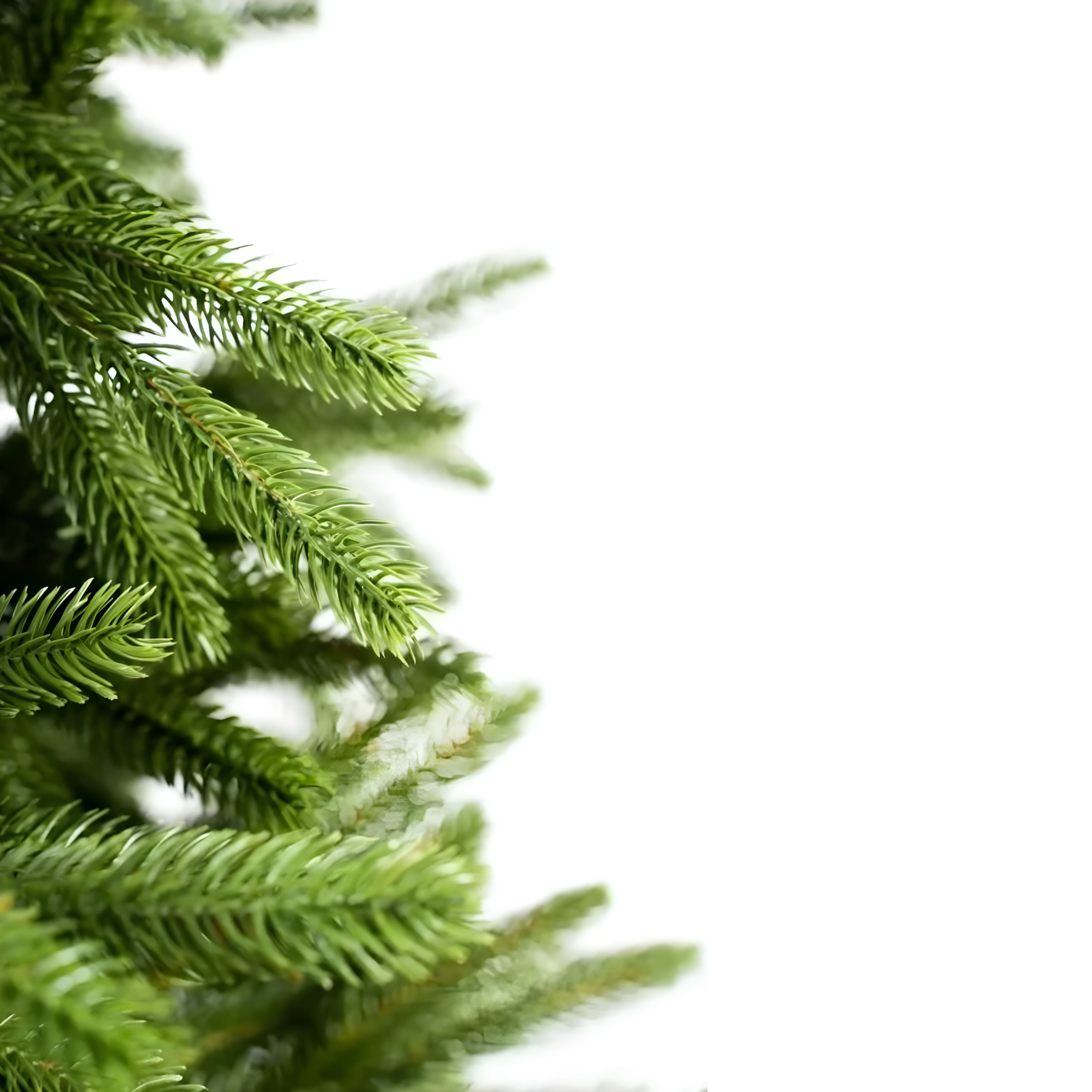 Spitsbergen Christmas Tree, 90% PE, Real Touch Effect, High Quality