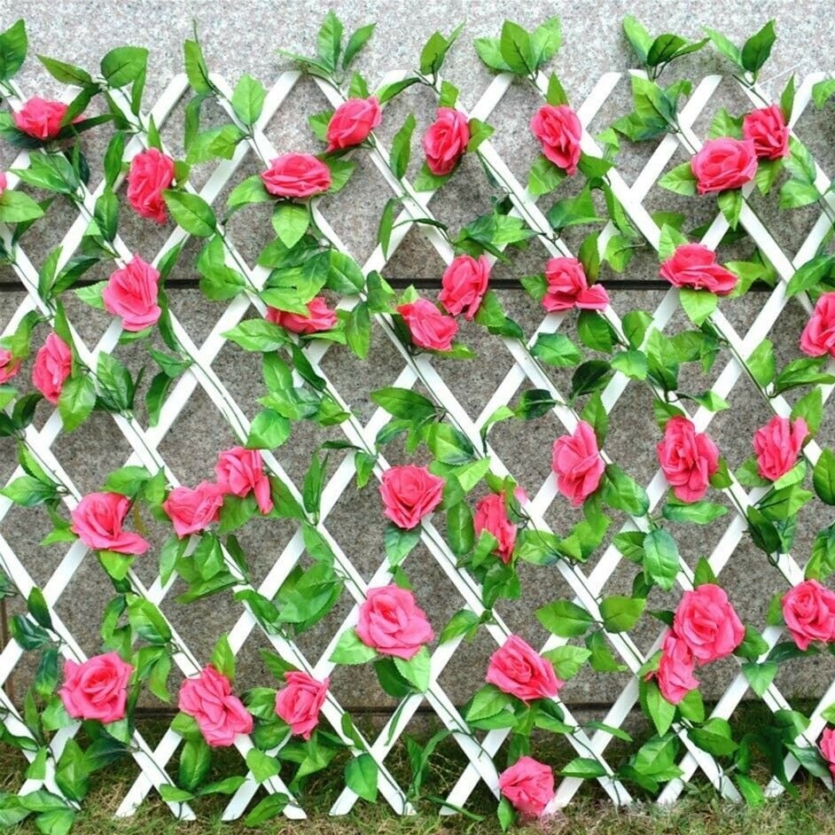 Traliccio estensibile a parete in PVC da giardino 1 mt