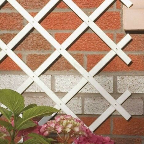 Traliccio estensibile a parete in PVC da giardino 1 mt