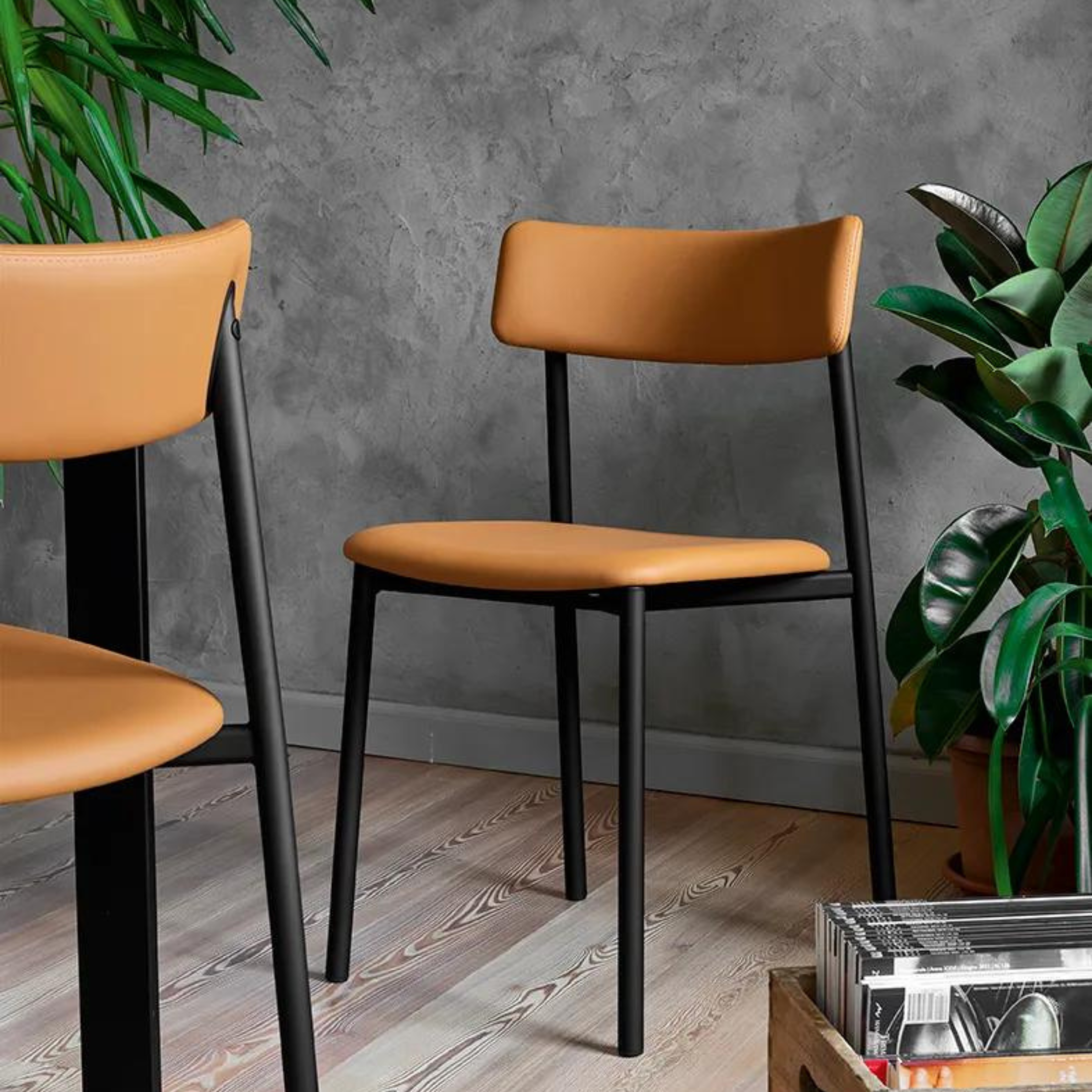 Set of modern living room chairs "Up!" with padded seat cm 49x48 81h