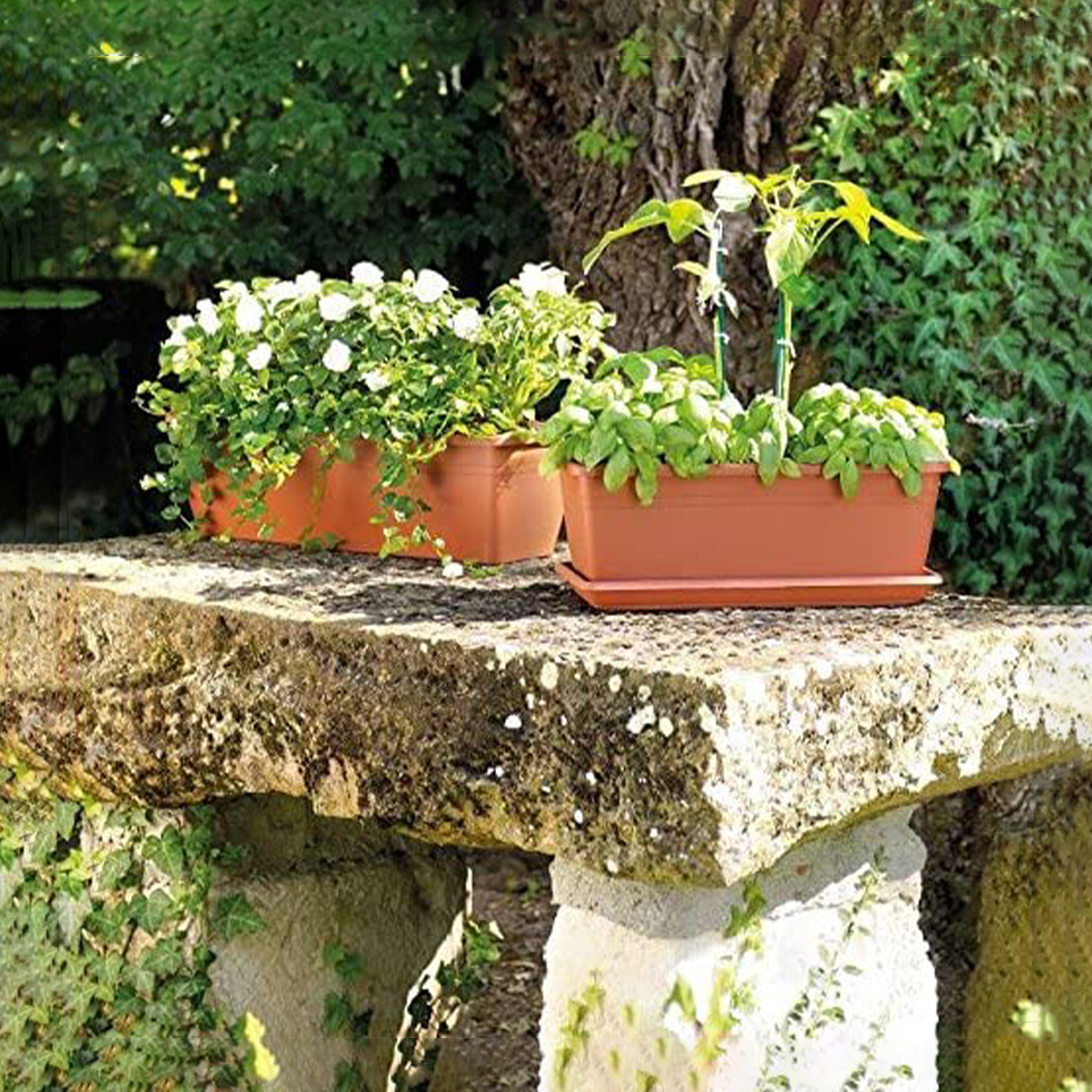 Vaso fioriera in plastica Venere per esterno con sottovaso