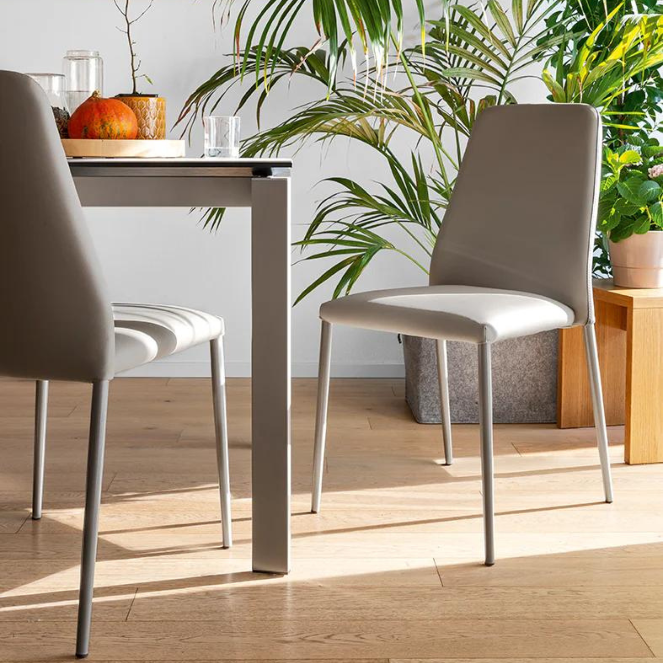 Set of modern "Club" living room chairs with padded seat and backrest, 47x57 cm, 91h