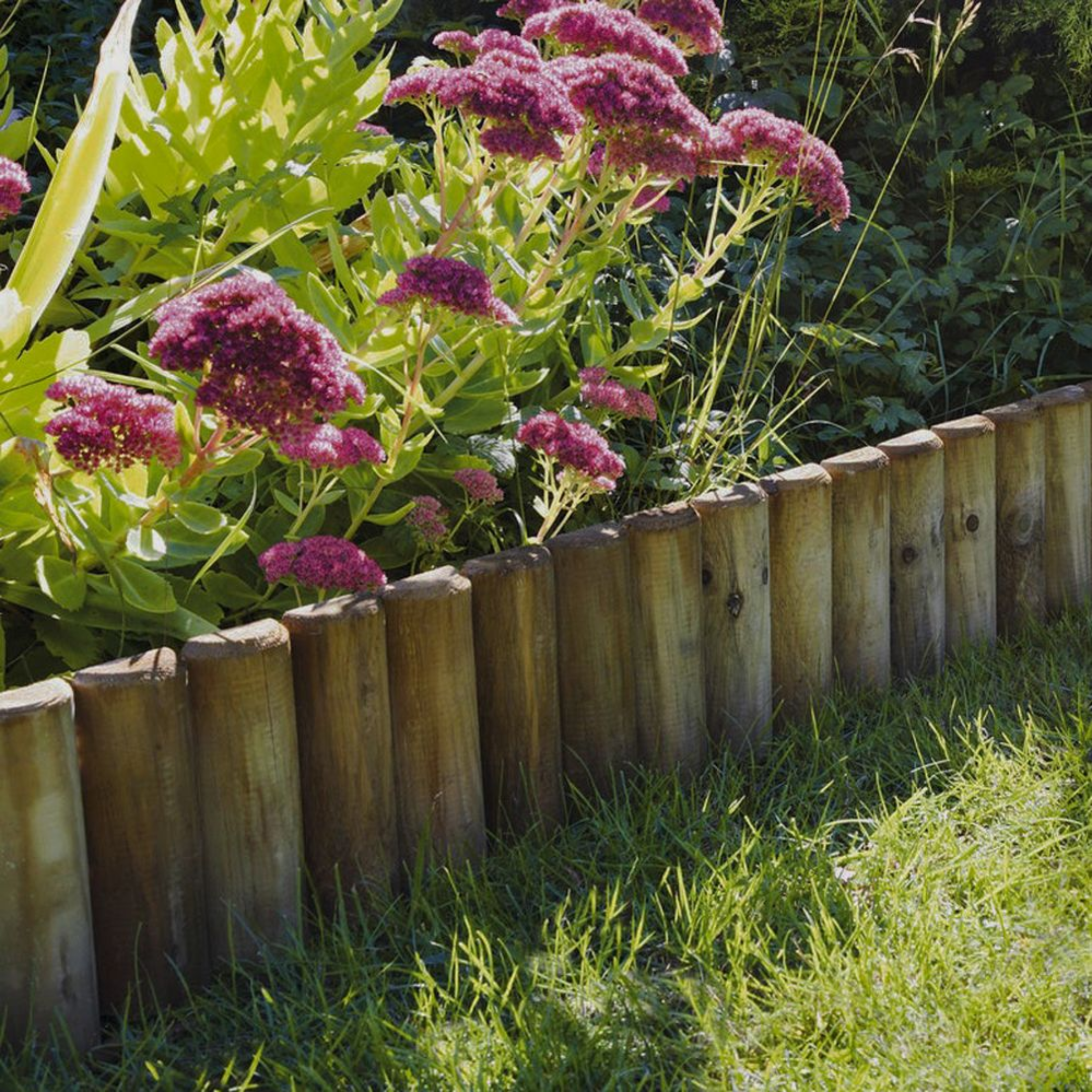"Rollborder" half-post fence made of impregnated pine wood