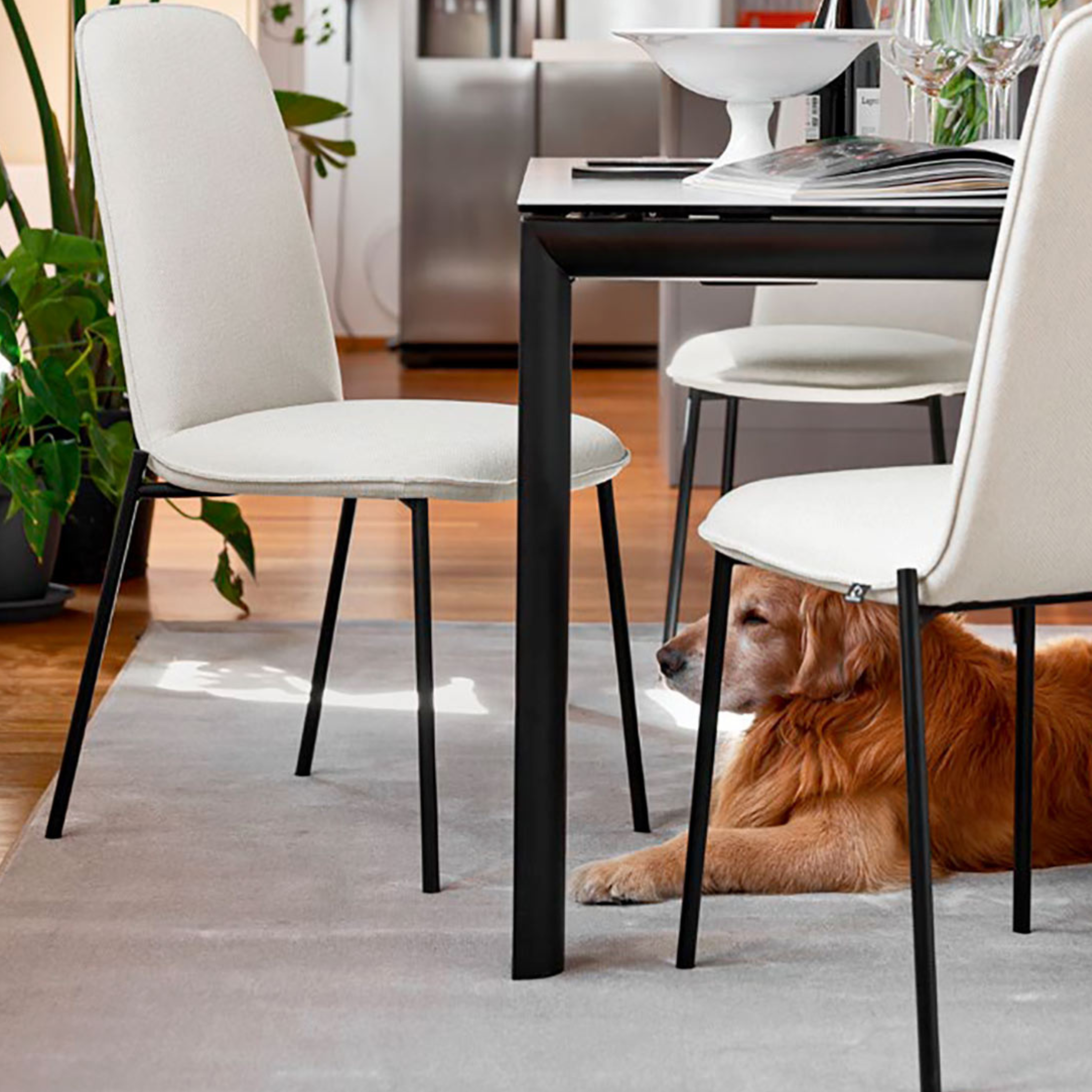 Set of modern living room chairs "Riley" in padded fabric cm 48x60 95h