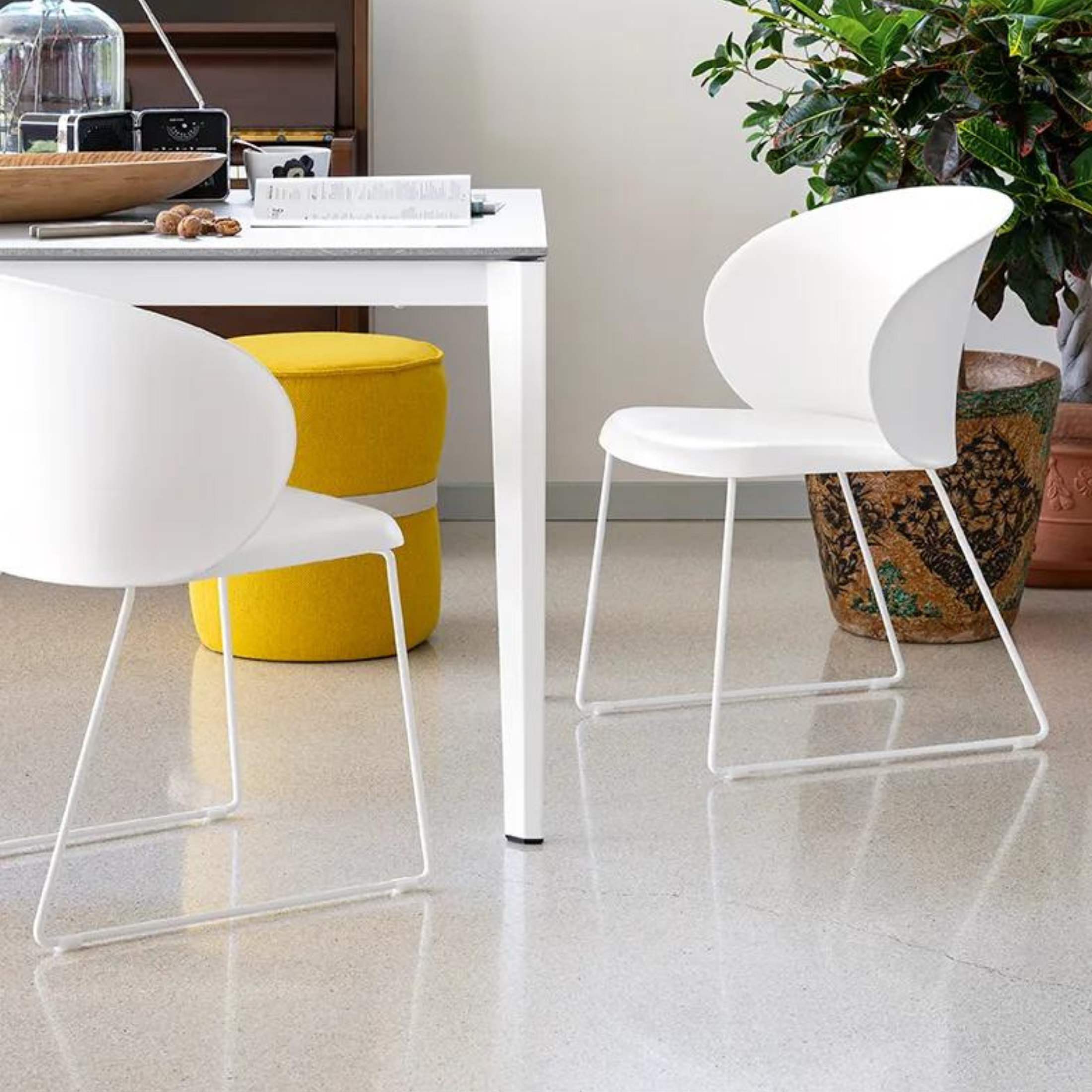 Set of modern living room chairs "Tuka" in polypropylene cm 53.5x55 76.5h