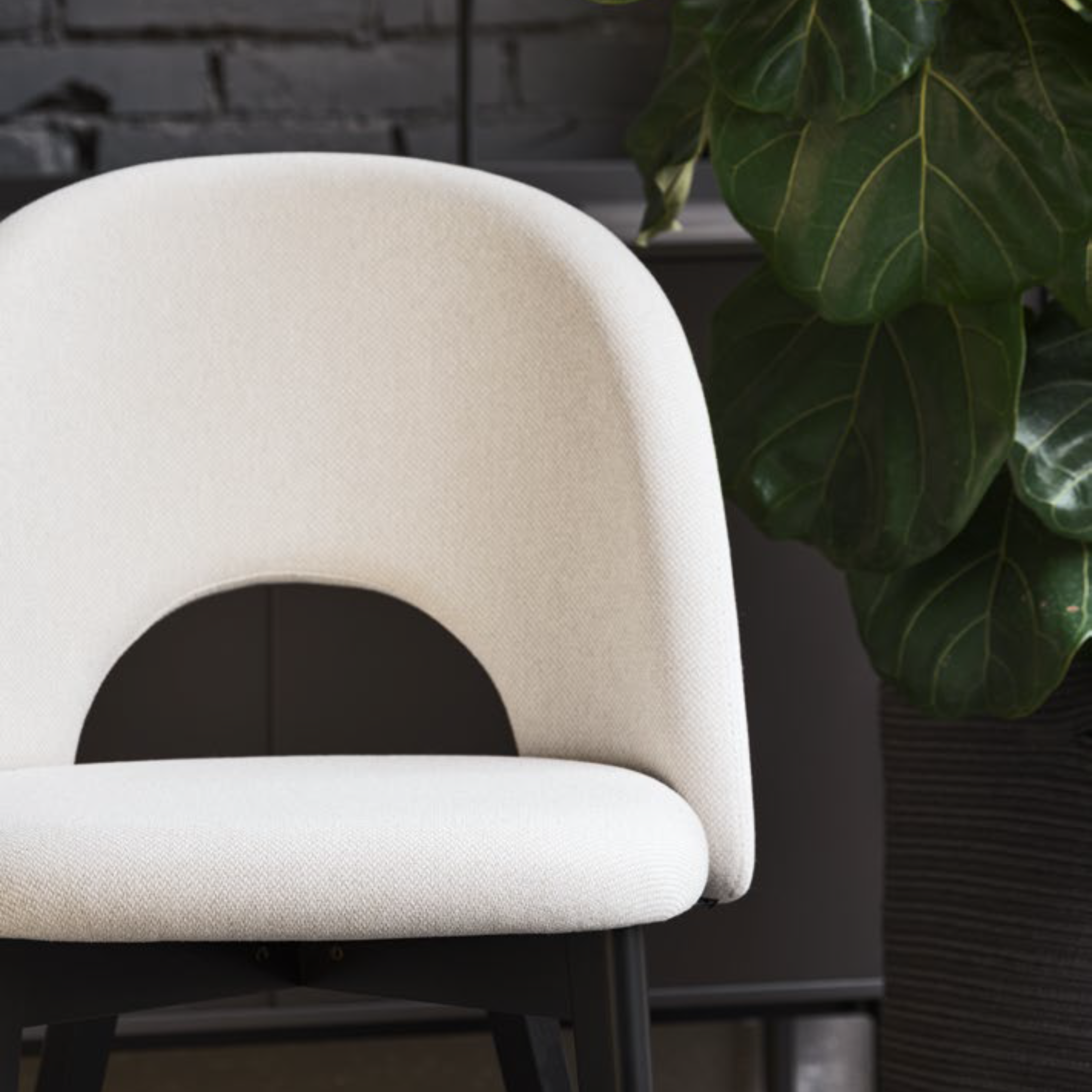 Set of modern living room chairs "Tuka Mid Hole" in ash wood with padded seat