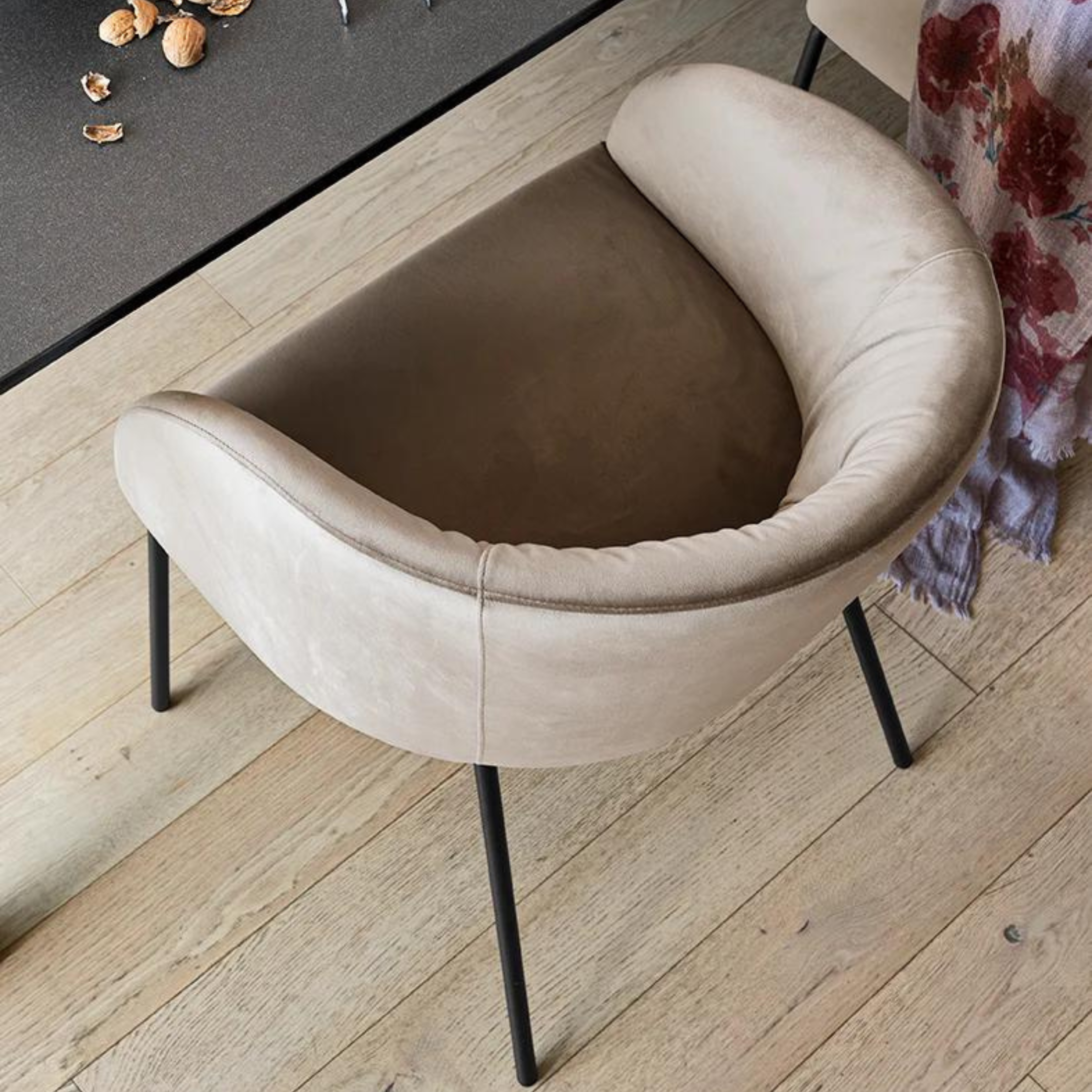 Modern living room chair "Rosie Soft" with padded seat cm 55x59 79h