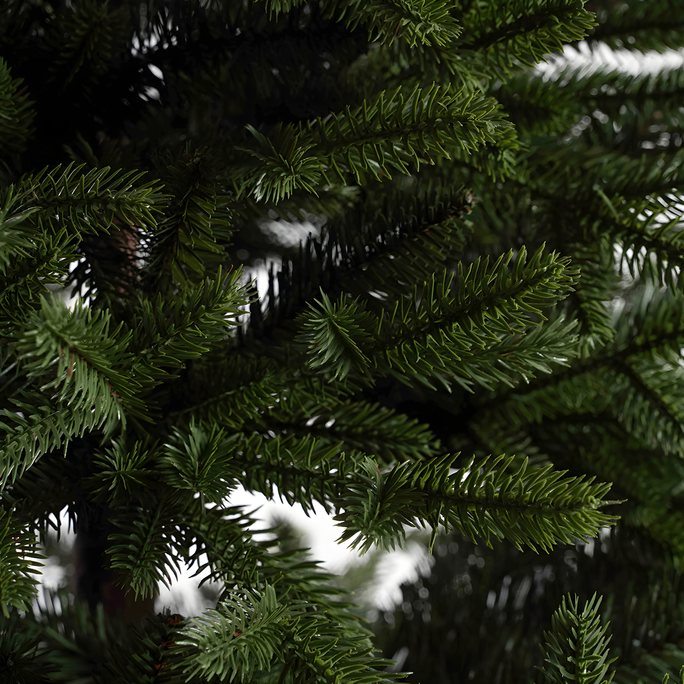 Ginger Christmas tree made of 70% PE with a brown trunk and Real Touch effect + high-quality PVC.