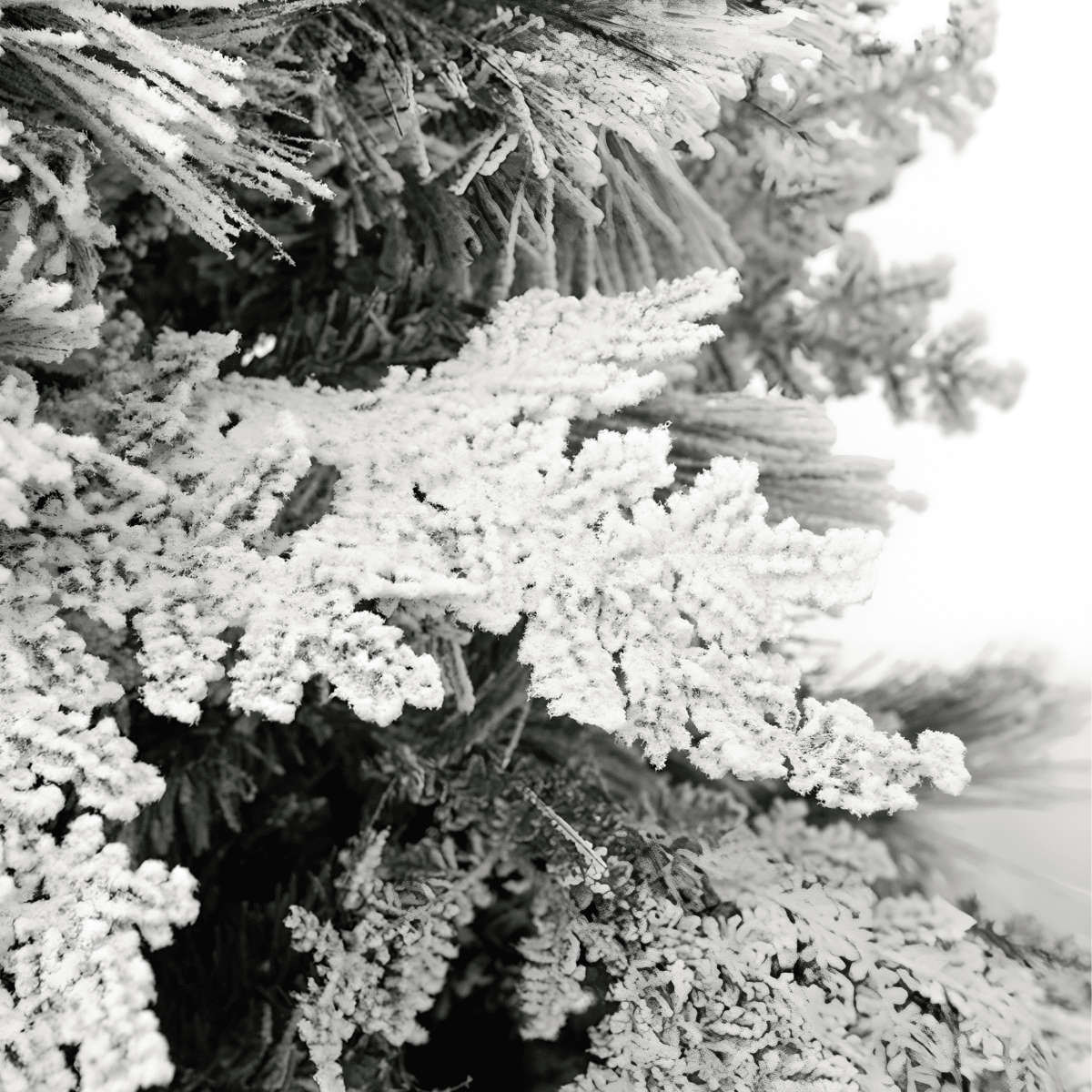 Albero di Natale innevato con pigne "Nevischio" in PE effetto Real Touch + PP cm 240h - MondoViro