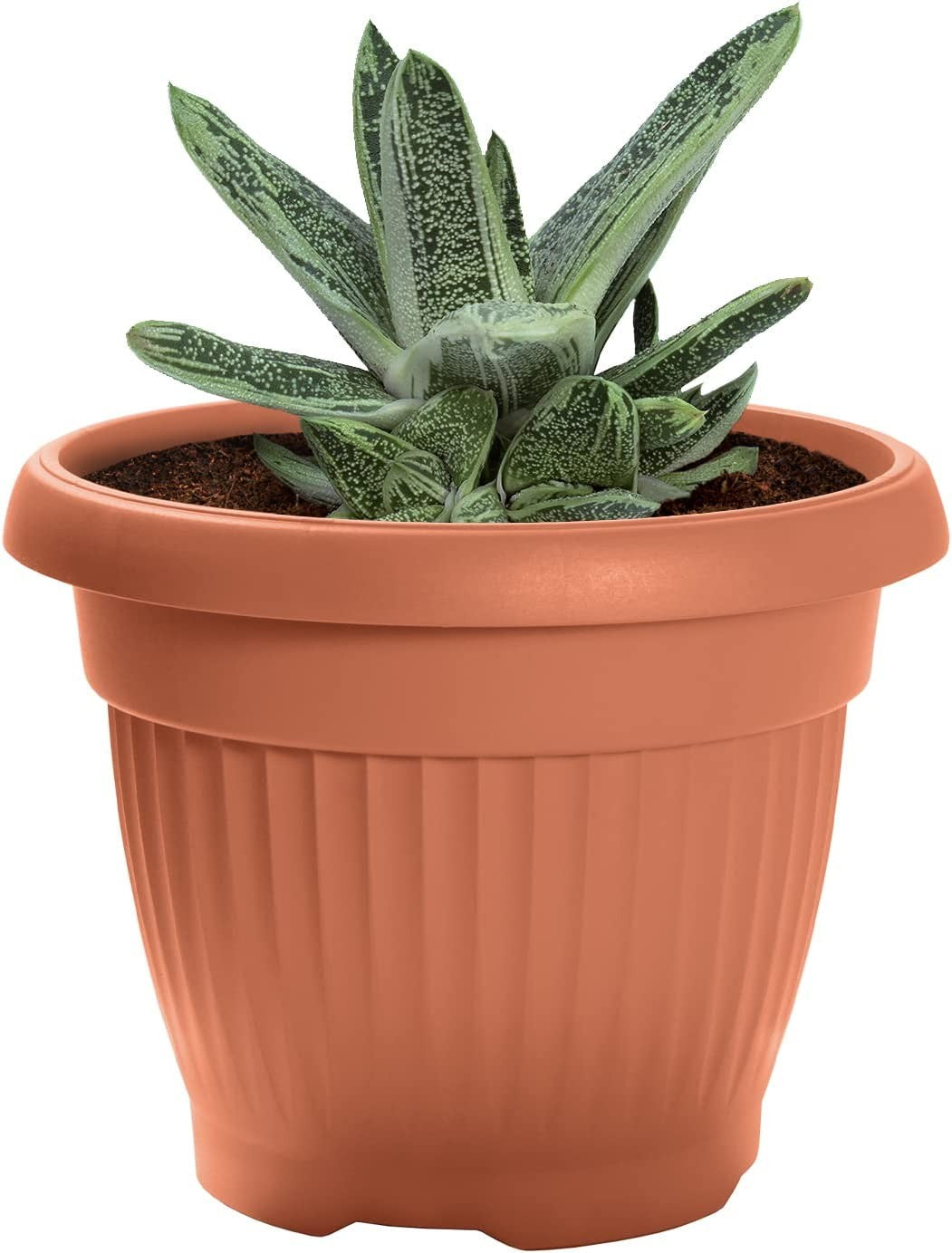 Vaso in polipropilene terracotta per piante e fiori